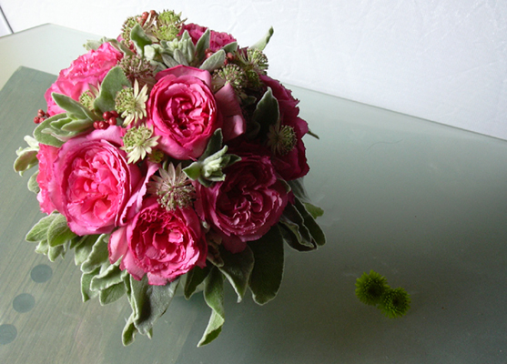 �u���C�_���u�[�P