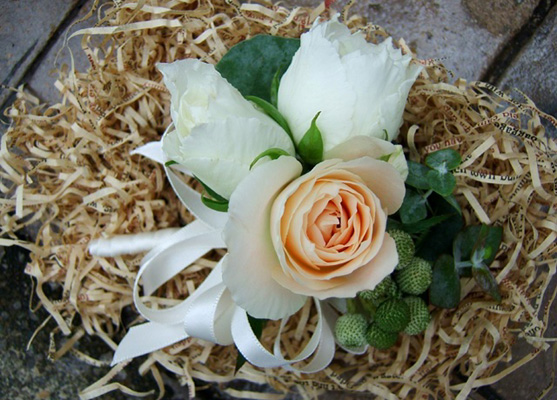 �u���C�_���u�[�P