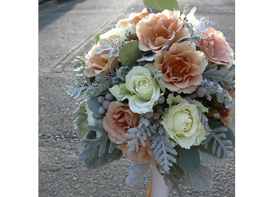 �u���C�_���u�[�P