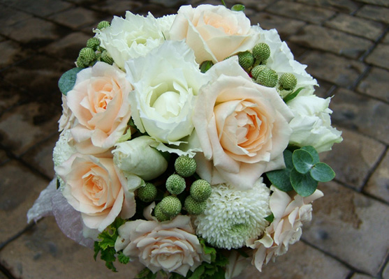 �u���C�_���u�[�P