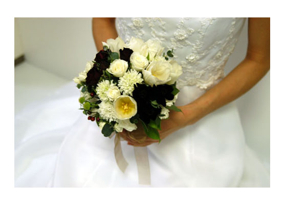 �u���C�_���u�[�P