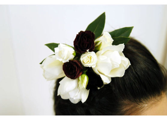 �u���C�_���u�[�P