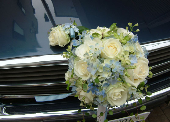 �u���C�_���u�[�P