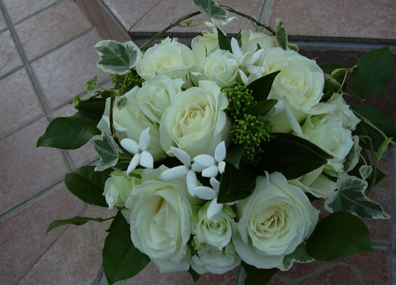 �u���C�_���u�[�P