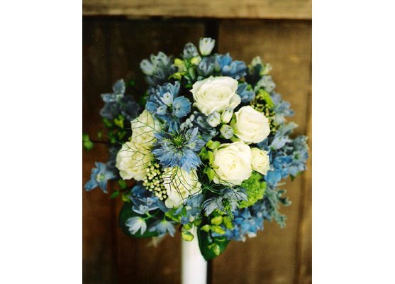 �u���C�_���u�[�P