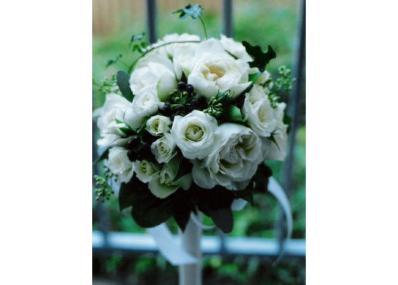 �u���C�_���u�[�P