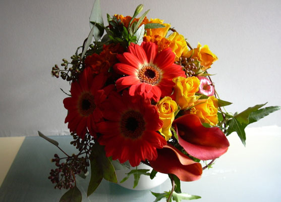 �u���C�_���u�[�P