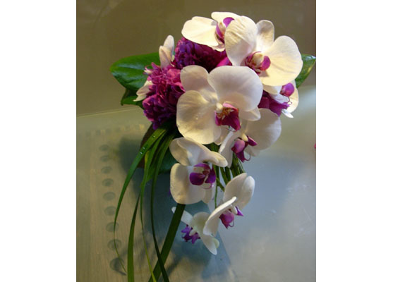 �u���C�_���u�[�P