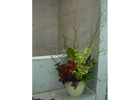 �f�B�X�v���C