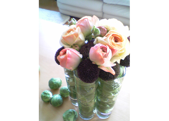 �f�B�X�v���C