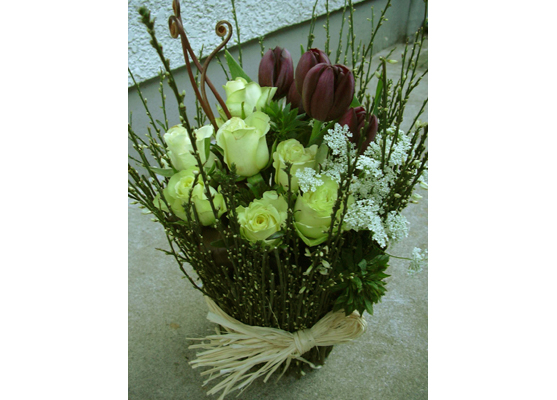 �t�����[�M�t�g