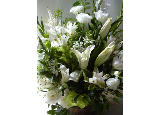 �t�����[�M�t�g