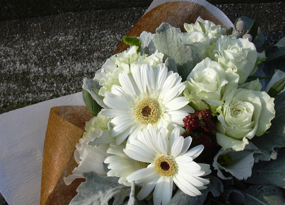 �t�����[�M�t�g