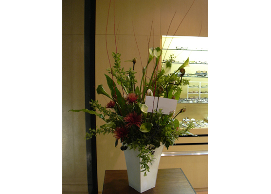 �t�����[�M�t�g